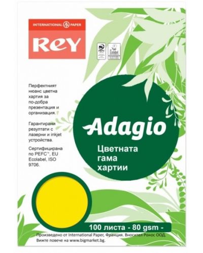Hartie colorata pentru copiator Rey Adagio - Yellow, A4, 80 g, 100 coli - 1