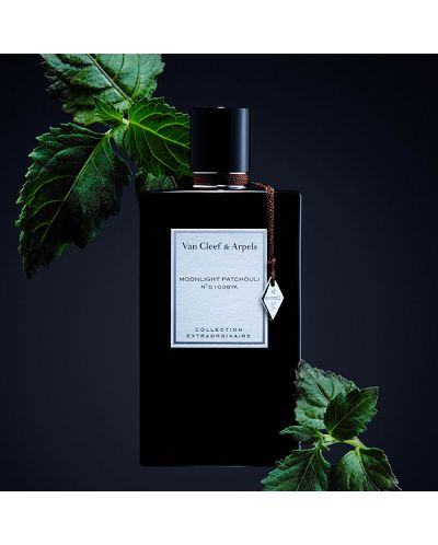 Van Cleef & Arpels Collection Extraordinaire - Apă de parfum Moonlight Patchouli, 75 ml - 2