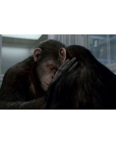 Rise of the Planet of the Apes (Blu-ray) - 6