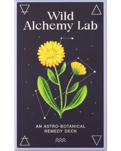 Wild Alchemy Lab An Astro-botanical Remedy Deck (52 Cards and Booklet) - 1