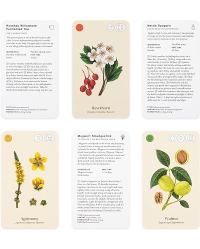 Wild Alchemy Lab An Astro-botanical Remedy Deck (52 Cards and Booklet) - 2