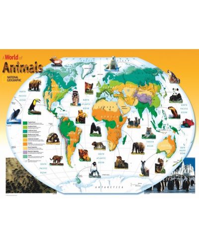 Puzzle New York Puzzle de 300 piese - Lumea animalelor - 2