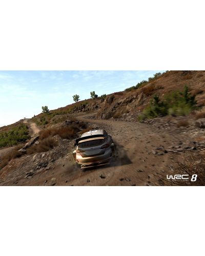 WRC 8 (PS4) - 3