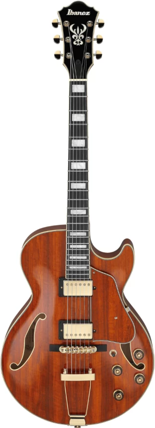 Chitară electrică Ibanez - AG95K, natural - imagine 1