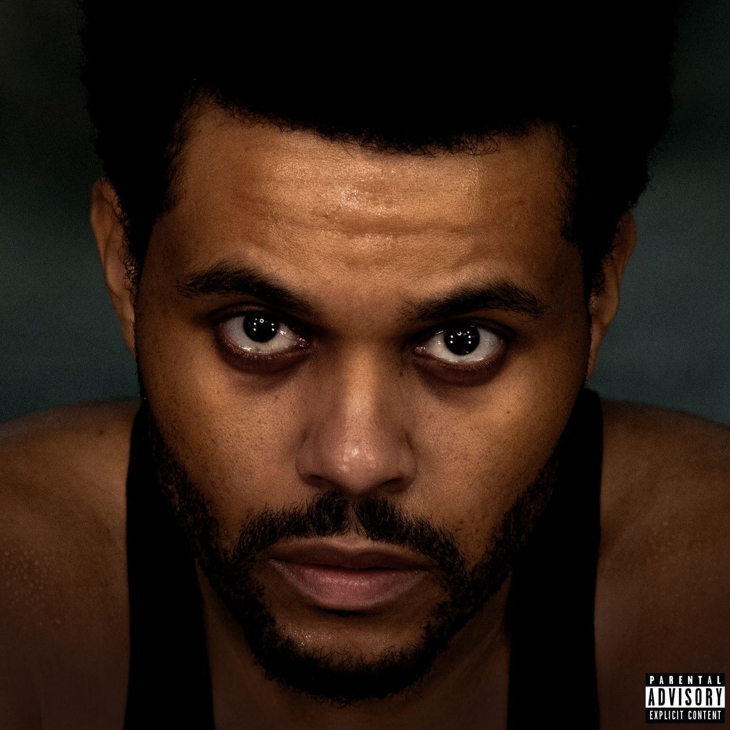 新品 The Weeknd \
