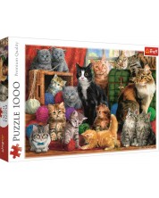 Puzzle Trefl de 1000 piese - Intalnirea pisicilor, Marcello Corti