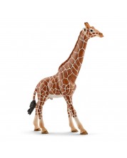 Figurina Schleich  Wild Life Africa - Girafa reticulata, mascul -1
