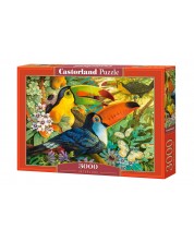 Puzzle Castorland din 3000 de piese - Interlude -1