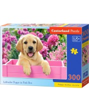 Puzzle Castorland din 300 de piese - Labrador mic intr-o cutie roz -1