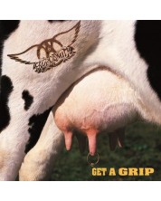 AEROSMITH - Get A Grip (CD)