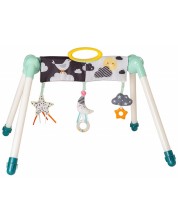 Gimnastica activa cu picioare rabatabile Taf Toys - Mini Moon