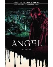 Angel, Vol. 1