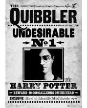 Tablou Art Print Pyramid Movies: Harry Potter - The Quibbler