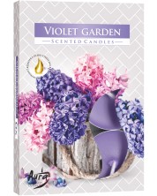 Lumanari parfumate Bispol Aura - Violet Garden, 6 bucăți