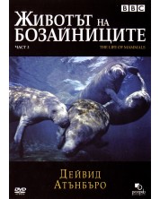 The Life of Mammals (DVD) -1