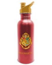 Sticlă de apă Pyramid Movies: Harry Potter - Platform 9 3/4, 700 ml