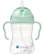 Sticlă cu pai pentru bebeluși b.box - Sippy cup, 240 ml, Pistachio