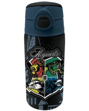 Sticlă de apă Graffiti Harry Potter - Hogwarts, cu pai, 500 ml -1