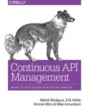 Continuous API Management