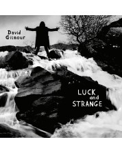 David Gilmour - Luck And Strange (Vinyl)