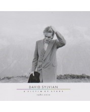 David Sylvian - A Victim Of Stars 1982-2012 (CD + Vinyl)