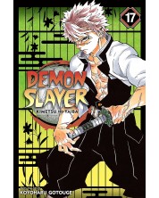 Demon Slayer: Kimetsu no Yaiba, Vol. 17	 -1