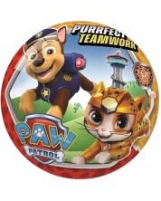 Minge pentru copii  Star - Paw Patrol, 14 cm -1