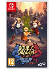 Double Dragon Gaiden: Rise Of The Dragons (Nintendo Switch) -1