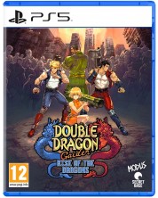 Double Dragon Gaiden: Rise Of The Dragons (PS5) -1