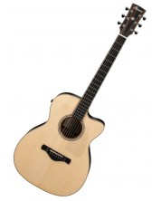 Ibanez Electric Acoustic Bass Guitar - AEB105E, Open Pore Semi-Gloss -1