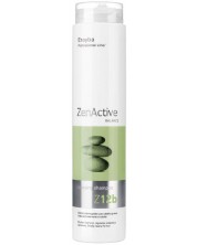 Erayba Zen Active Șampon de curățare pentru păr gras Z12b, 250 ml -1