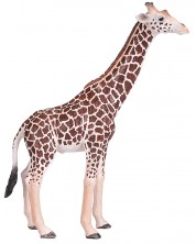 Figurina Mojo Wildlife - Girafa masculina -1