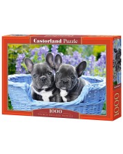 Puzzle Castorland din 1000 de piese - Bebelusi bulldog francez -1
