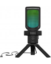 Microfon de gaming Genesis - Radium 250, USB-C, negru - imagine 1
