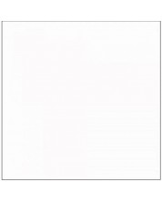 Fond de hârtie Visico - Arctic White, 2.7x11m, alb	 -1