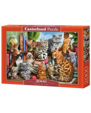 Puzzle Castorland din 2000 de piese - Casa pisicilor, Marcelo Corti -1
