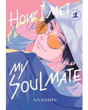 How I Met My Soulmate, Vol. 1 -1