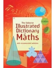 Illustrated dictionary of maths