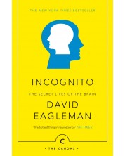 Incognito: The Secret Lives of The Brain