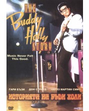 The Buddy Holly Story (DVD)