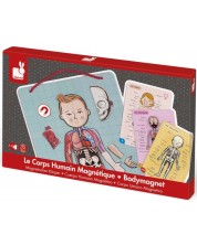 Jucarie magnetica pentru copii - Anatomia corpului uman -1