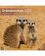 Calendar  Ackermann - Meerkats, 2023 -1