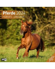Calendar Ackermann - Horses, 2024 -1