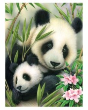 Set de pictură cu vopsele acrilice Royal - Panda și pui, 22 x 30 cm -1