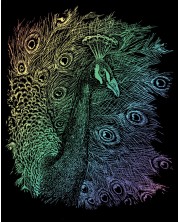 Set de gravură Royal Rainbow - Peacock, 20 x 25 cm  -1