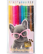 Set de creioane colorate Studio Pets - 12 bucăți