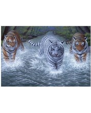Set de pictură cu vopsele acrilice Royal - Tigri, 39 x 30 cm -1