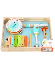 Set instrumente muzicale Tooky Toy - Sarbatoare in padure -1