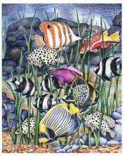 Set de desen cu creioane colorate Royal - Pești tropicali, 22 x 30 cm -1