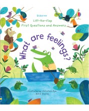 Lift-the-Flap - First Questions and Answers: What are feelings?